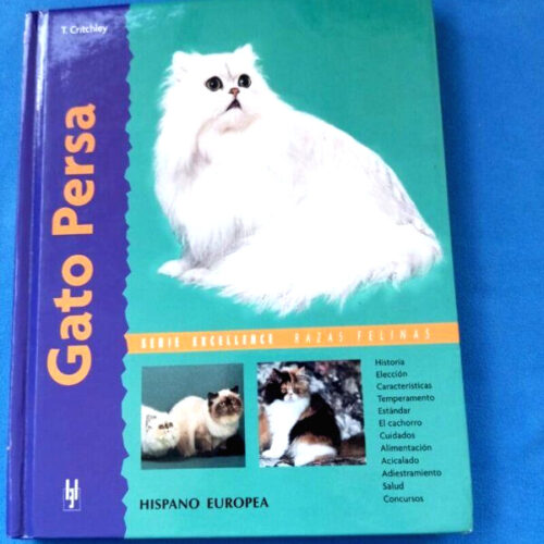 Gato Persa